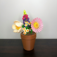 Terracotta Pot - Medium