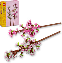 Cherry Blossoms