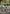 BA Mdrn Combat Assault Pack V3