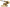 AAT