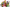 Series 29 Mystery Box