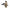 US Air Force Pararescue 