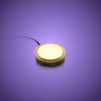 Solar Light - WW 30cm (2 Pack)