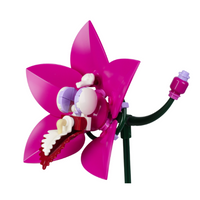Boat Orchid