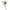 Blue Daisy