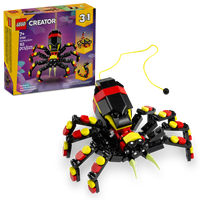 Wild Animal: Surprising Spider