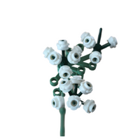 Cow Parsley 1-Pack