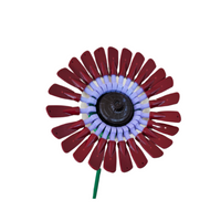 Gerbera Daisy Dark Red