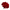 Aster Red