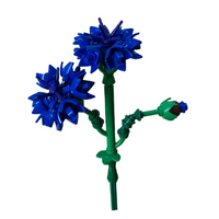 Corn Flower