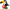Tropical Toucan