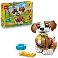 Cute Animals: Playful Puppy Dog