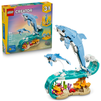 Sea Animals: Beautiful Dolphins