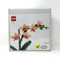 Mini Orchid (Certified)