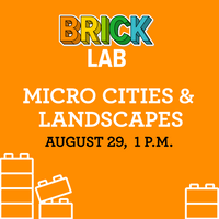 Micro Cities & Landscapes Ticket (August 29)
