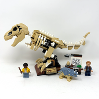 T. rex Dinosaur Fossil Exhibition (Prebuilt)