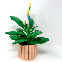 Peace Lily (Prebuilt)