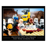 Not the Droids Print