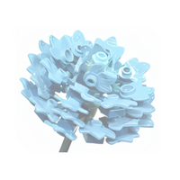 Aster Blue