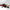 Hogwarts Express: 4th Edition (Prebuilt)