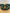 Large Gear—Green