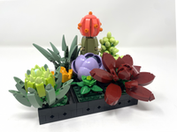 Succulents (Prebuilt)