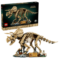 Dinosaur Fossils: Triceratops