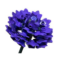 Aster Purple