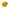Aster Yellow
