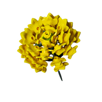 Aster Yellow