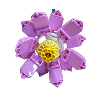 Lotus Pink Open