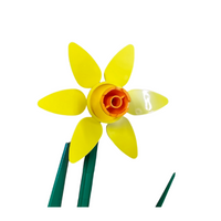 Daffodil Yellow