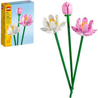 Lotus Flowers